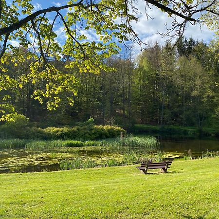 Pension-Ferienwohnung Liesbachtal Direkt Am Waldrand Bayerische Rhoen Schonau an der Brend Экстерьер фото