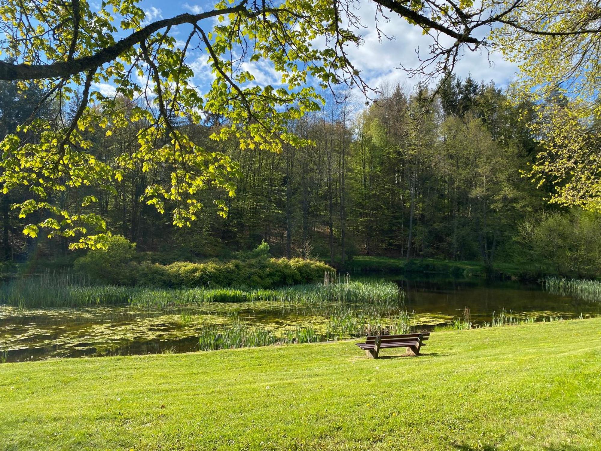 Pension-Ferienwohnung Liesbachtal Direkt Am Waldrand Bayerische Rhoen Schonau an der Brend Экстерьер фото