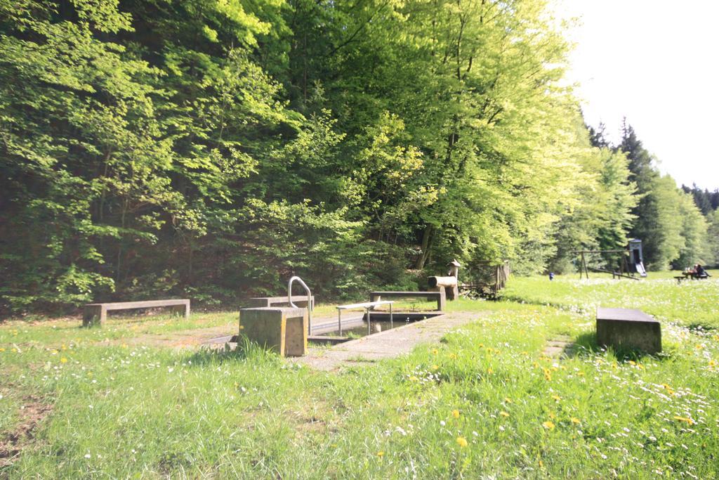 Pension-Ferienwohnung Liesbachtal Direkt Am Waldrand Bayerische Rhoen Schonau an der Brend Экстерьер фото