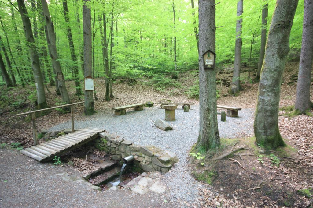 Pension-Ferienwohnung Liesbachtal Direkt Am Waldrand Bayerische Rhoen Schonau an der Brend Экстерьер фото